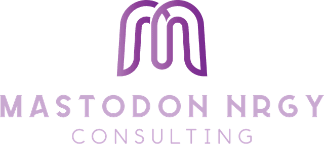 Mastodon Nrgy Consulting